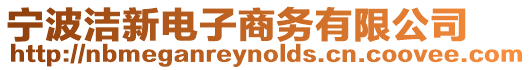 寧波潔新電子商務有限公司