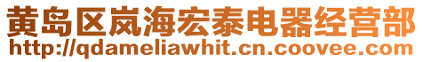 黃島區(qū)嵐海宏泰電器經(jīng)營(yíng)部