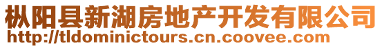 樅陽縣新湖房地產(chǎn)開發(fā)有限公司