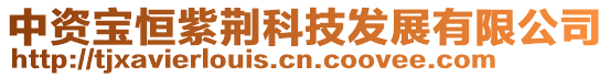 中資寶恒紫荊科技發展有限公司