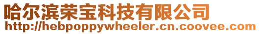 哈爾濱榮寶科技有限公司