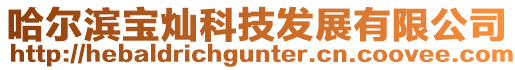 哈爾濱寶燦科技發(fā)展有限公司