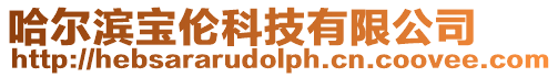 哈爾濱寶倫科技有限公司