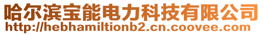 哈爾濱寶能電力科技有限公司