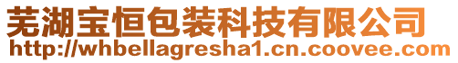蕪湖寶恒包裝科技有限公司