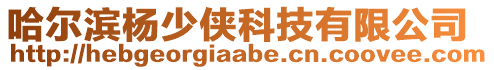 哈爾濱楊少俠科技有限公司