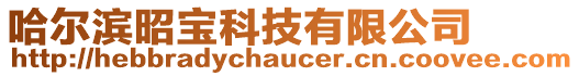 哈爾濱昭寶科技有限公司