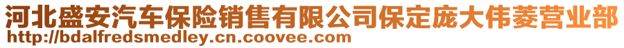 河北盛安汽車保險銷售有限公司保定龐大偉菱營業(yè)部