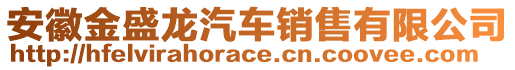 安徽金盛龍汽車銷售有限公司