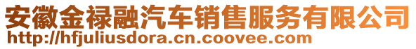 安徽金祿融汽車銷售服務有限公司