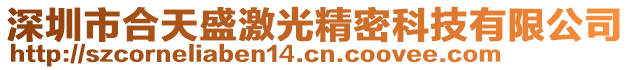 深圳市合天盛激光精密科技有限公司