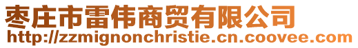 棗莊市雷偉商貿有限公司
