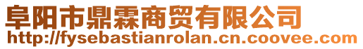 阜陽市鼎霖商貿有限公司