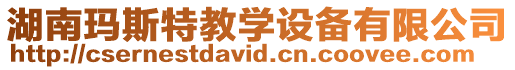 湖南瑪斯特教學設備有限公司