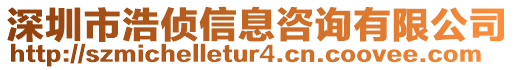 深圳市浩偵信息咨詢有限公司