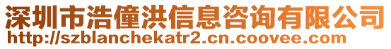 深圳市浩僮洪信息咨詢有限公司