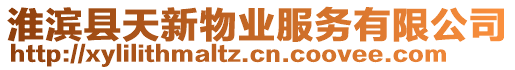 淮濱縣天新物業(yè)服務(wù)有限公司
