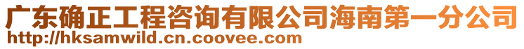 廣東確正工程咨詢有限公司海南第一分公司