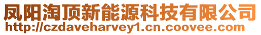 鳳陽淘頂新能源科技有限公司