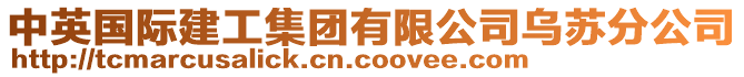 中英國(guó)際建工集團(tuán)有限公司烏蘇分公司