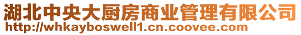 湖北中央大廚房商業管理有限公司