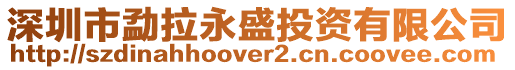 深圳市勐拉永盛投資有限公司