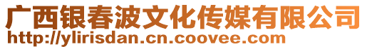 廣西銀春波文化傳媒有限公司