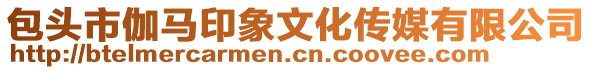 包頭市伽馬印象文化傳媒有限公司