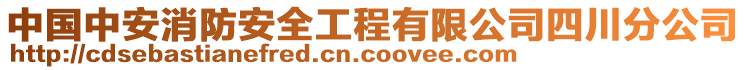 中國(guó)中安消防安全工程有限公司四川分公司