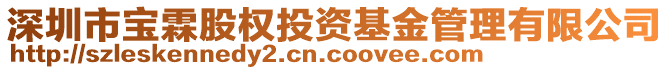 深圳市寶霖股權(quán)投資基金管理有限公司