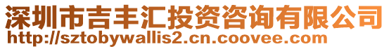 深圳市吉豐匯投資咨詢有限公司