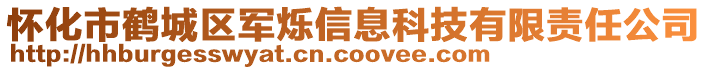 懷化市鶴城區(qū)軍爍信息科技有限責任公司