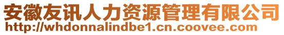 安徽友訊人力資源管理有限公司