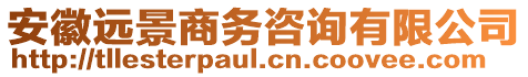 安徽遠(yuǎn)景商務(wù)咨詢有限公司