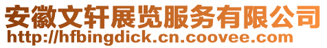安徽文軒展覽服務有限公司