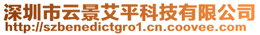 深圳市云景艾平科技有限公司