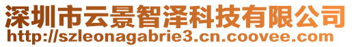 深圳市云景智澤科技有限公司