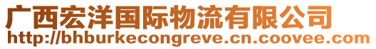 廣西宏洋國(guó)際物流有限公司