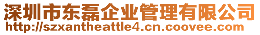 深圳市東磊企業(yè)管理有限公司