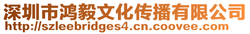 深圳市鴻毅文化傳播有限公司