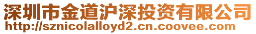 深圳市金道滬深投資有限公司