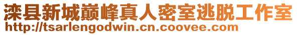 灤縣新城巔峰真人密室逃脫工作室