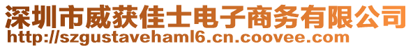 深圳市威獲佳士電子商務有限公司