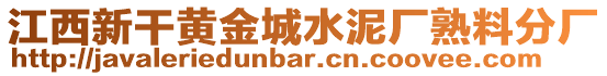 江西新干黃金城水泥廠熟料分廠