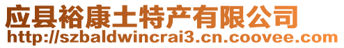 應(yīng)縣?？低撂禺a(chǎn)有限公司