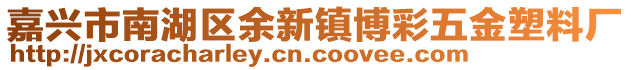 嘉興市南湖區(qū)余新鎮(zhèn)博彩五金塑料廠