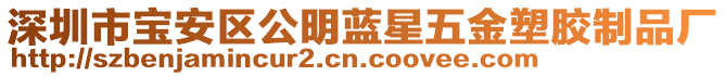 深圳市寶安區(qū)公明藍(lán)星五金塑膠制品廠