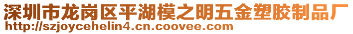 深圳市龍崗區(qū)平湖模之明五金塑膠制品廠