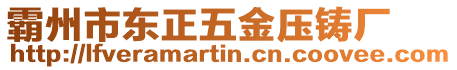 霸州市東正五金壓鑄廠