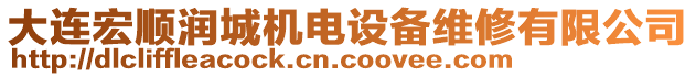 大連宏順潤城機(jī)電設(shè)備維修有限公司